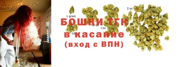 гидропоника Иннополис