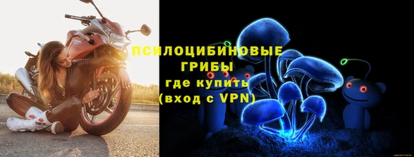 гидропоника Иннополис