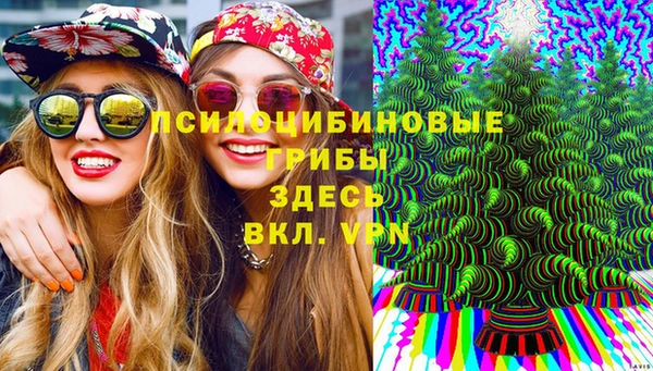 гидропоника Иннополис