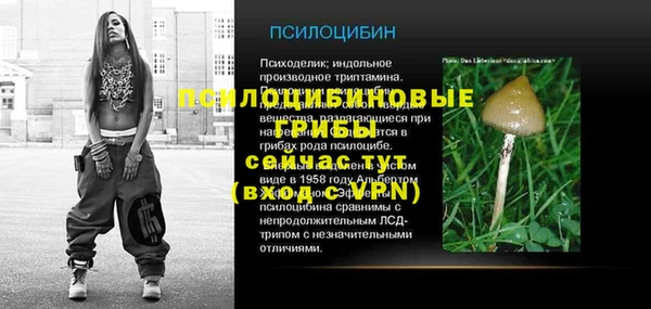 гидропоника Иннополис