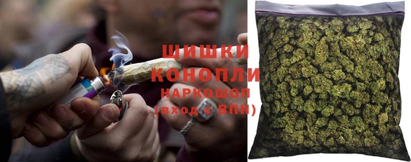 гидропоника Иннополис