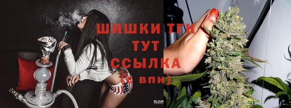 гидропоника Иннополис