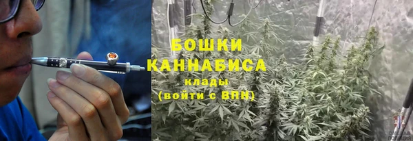 гидропоника Иннополис
