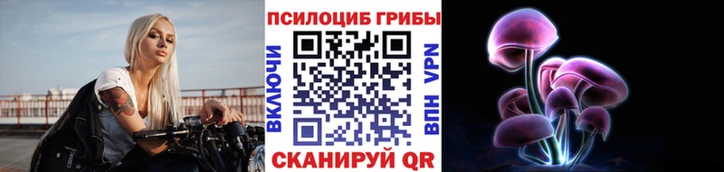 Купить  Лаишево  Галлюциногенные грибы Magic Shrooms 